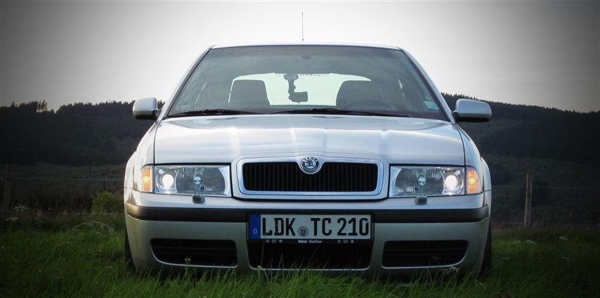 octavia 2 groß (Small).jpg