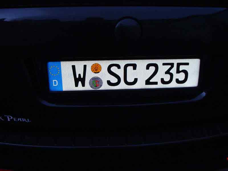octi_02.JPG