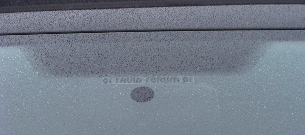 octavia-forum.jpg