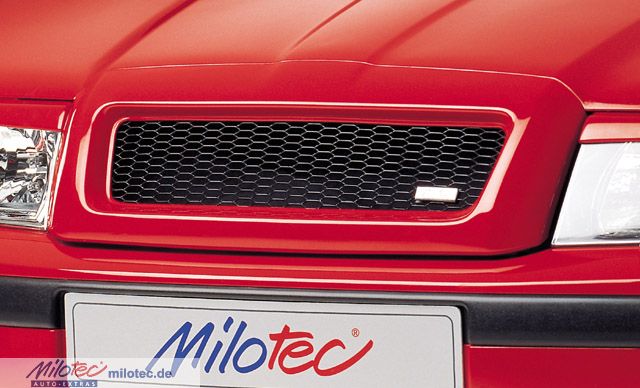 Molitec Grill 2.jpg