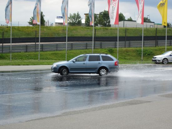 Sachsenring 2011 Schleuderplatte 3.jpg