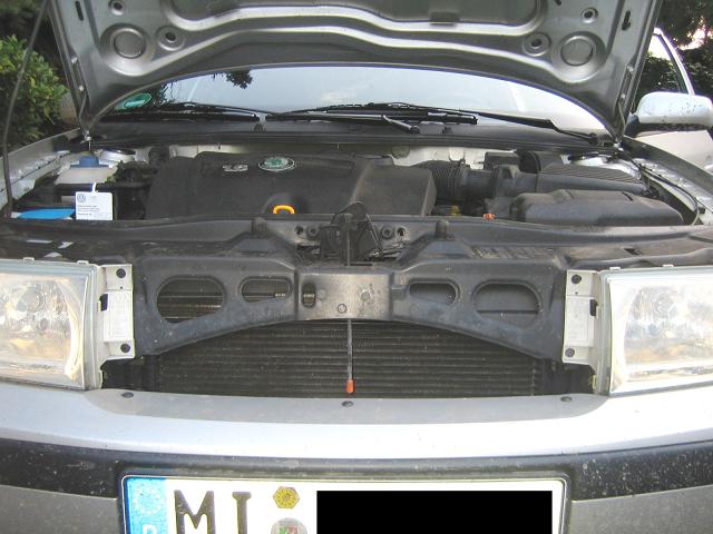 IMG_9005_1.jpg