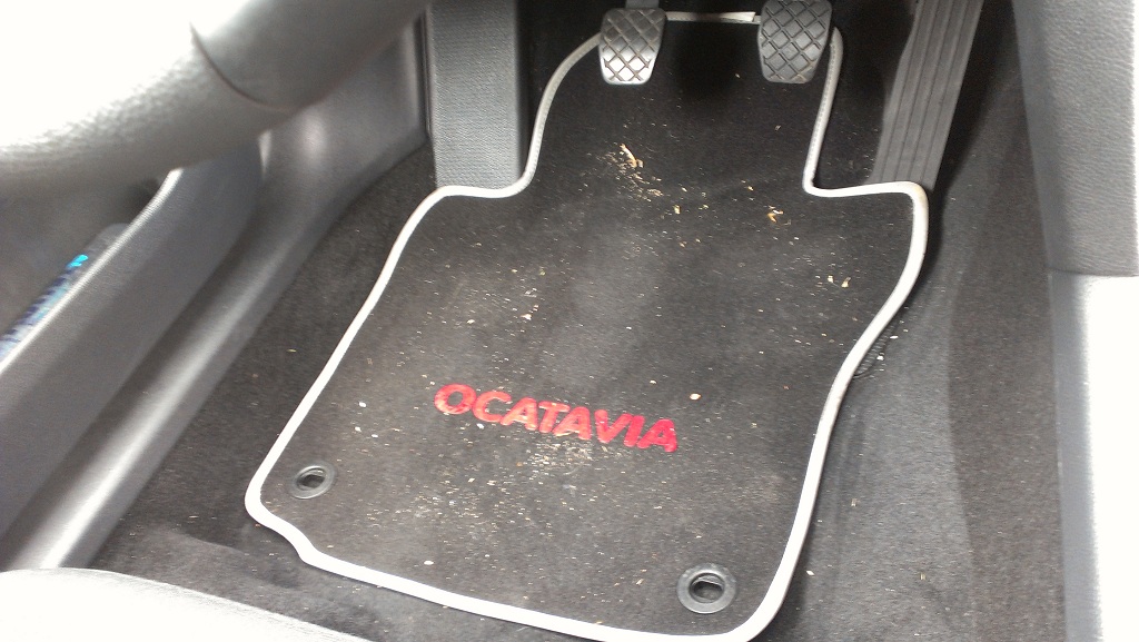 Die Fußmatte. Ja, ich muss mal wieder saugen.