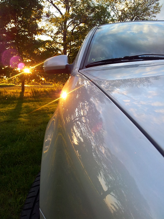 octi sundown clean2.jpg