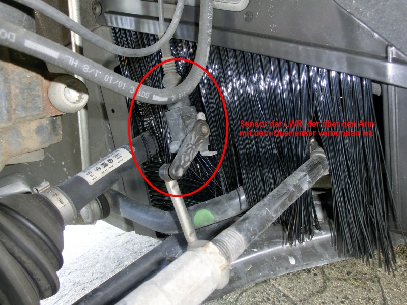 Sensor LWR vorn