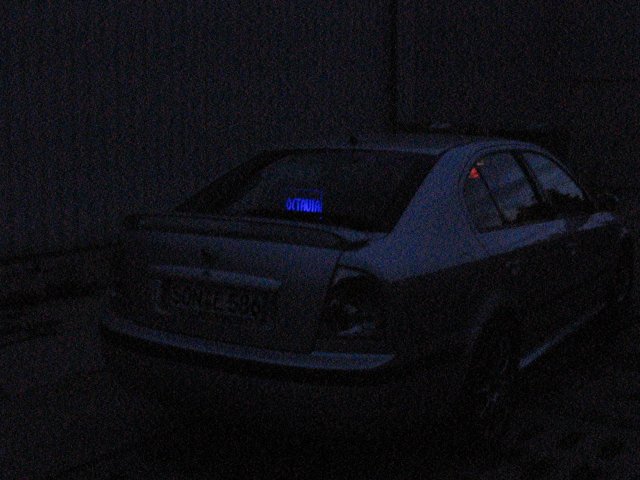IMG_2829.jpg