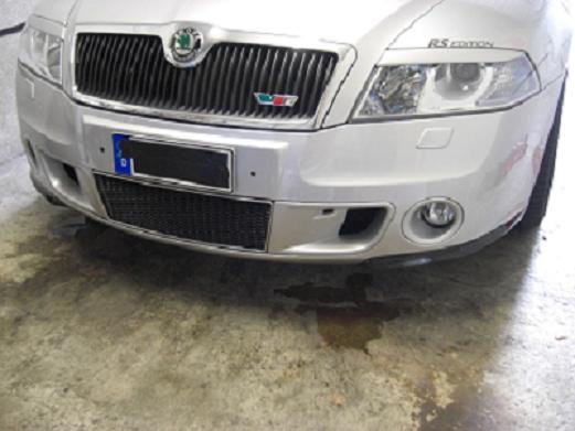 skoda neu 2.JPG