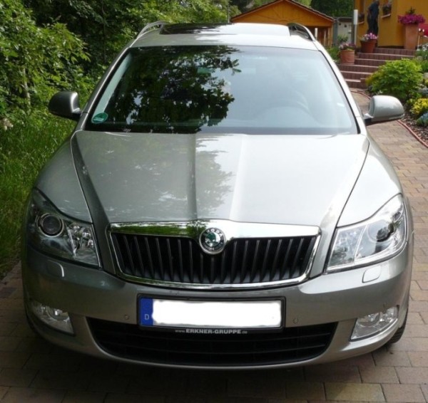 Skoda 1.jpg