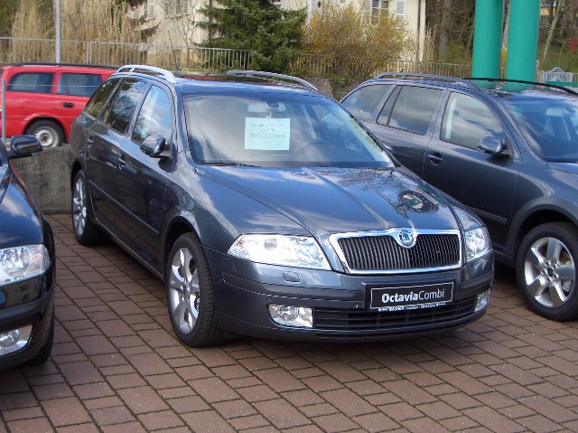 Octi 0001.jpg